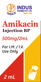 Amikacin Injection BP 500mg/2mL