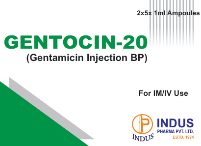 Gentamicin Injection BP 20mg/mL