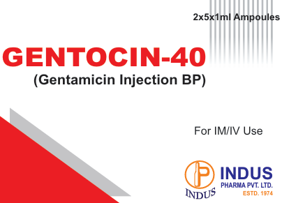 Gentamicin Injection BP 40mg/mL