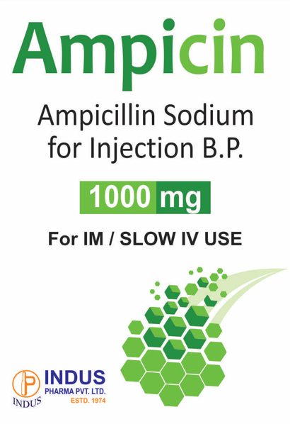 Ampicillin Sodium Injection 1 g
