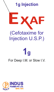 Cefotaxime for Injection USP 1g
